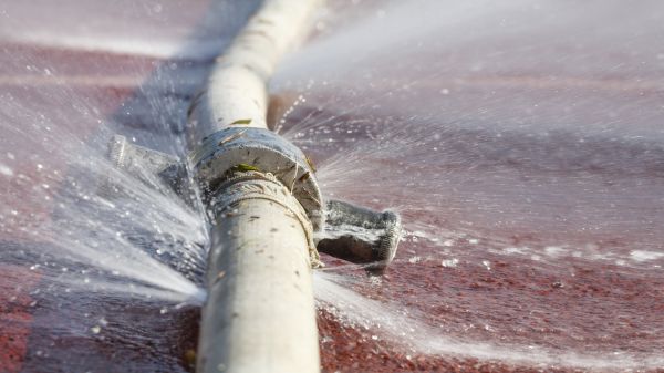 Cost of Burst Pipe Cleanup in Wheaton