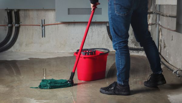Cost of Flooded Basement Cleanup in Wheaton