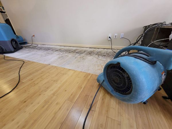 Cost of Water Damage Mitigation in Wheaton