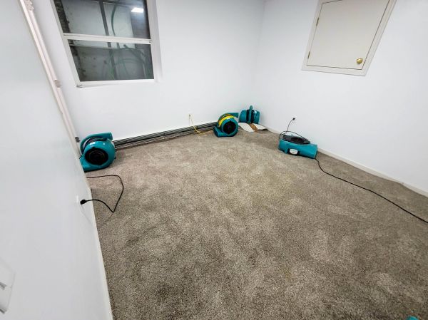 Cost of Flood Restoration Service in Wheaton