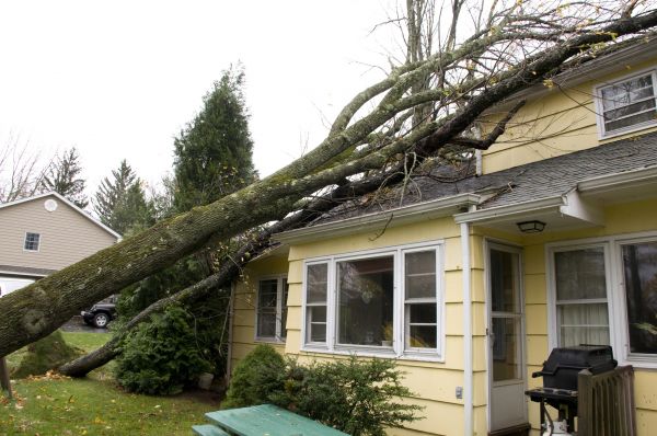 Cost of Storm Damage Mitigation in Wheaton