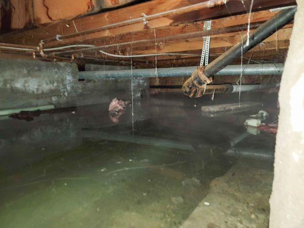 Cost of Crawlspace Water Restoration in Wheaton